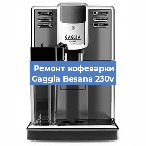 Замена жерновов на кофемашине Gaggia Besana 230v в Челябинске